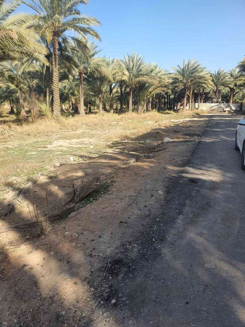 للبيع1000 متر طابوا زراعي سند٢٥ اقرار قاضي العنوان كربلاء طريق طويريج كربلاء عمود 254 خدمات كامله تنباع 100 او 200 اوشلع تصلح حسينيات للإستفسار ***********
