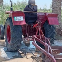 الديوانية • ١٩٨٥ • انكليزي