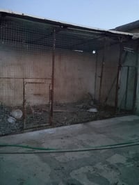 برج طيور • مساحه واسعه