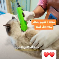 حلاقة قطط • تقليم أظافر • ناحية كنعان