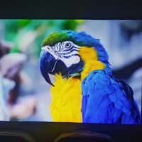 داتا شو • فول HD • بطارية