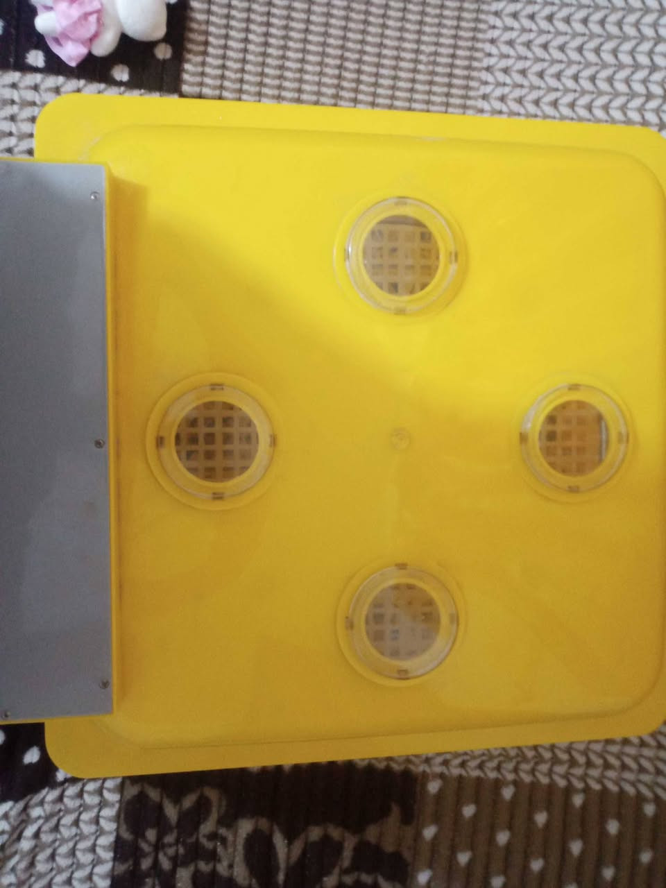 متاح مفقس فول اوتماتيك تفاصيل اكثر خاص مكاني بصره كرمه علي ابو صخير المعسكر رقم ***********
