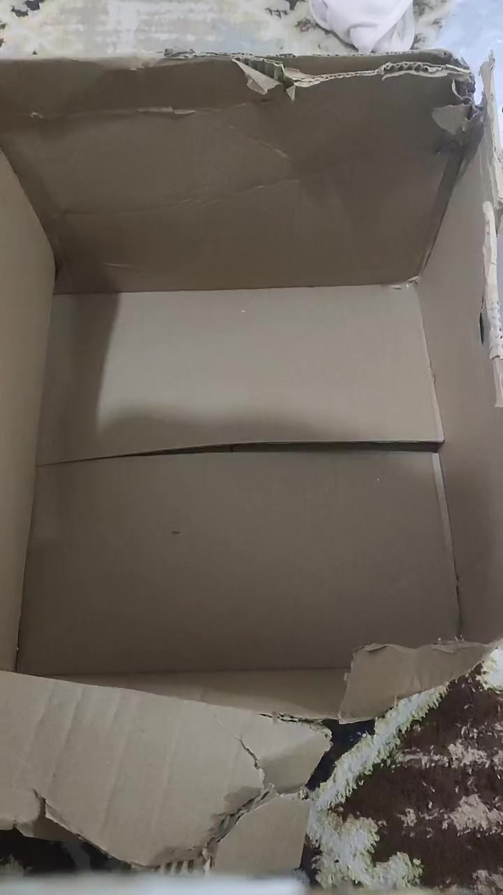 شلعة اول تم 70 الف مع توصيل


**إذا كنت صاحب هذا الإعلان وتريد حذفه لأي سبب، رجاءا أرسل رسالة إلى الدعم الفني**