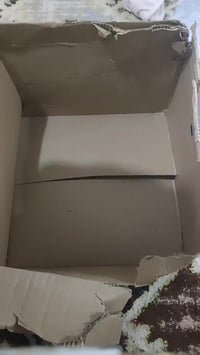 شلعة • اول • توصيل