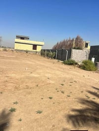 الاستفسار أكثر الاتصال على الرقم 07829801708