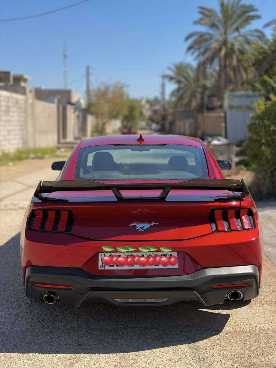 لل مراوس تفضل وتساب ***********

غير متواجد على فيسبوك فقط وتساب

للبيع موستنك ايكو 2024 
رقم اربيل 
ماشيه 38km
فول مواصفات سياره جاهزه وجديد بعده

 حادثة:- 
رقم الشاصي 1FA6P8TH5R5117813 
صور الحادثة بالمنشور ورقم شاصي بالمنشور يمك 
٣قطع إماميه صبغ 

كير اوتماتيك 
محرك كفاله 

مكان ديالى -بعقوبة 
قفل٢١٧$ورقه
***********
