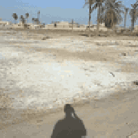 ٢٣٧م • طابو زراعي • بين الجمعيه وعلي قماره