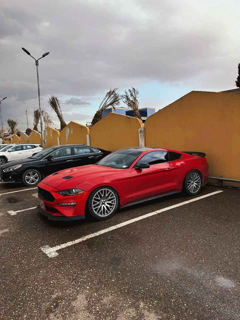 � للبيع – فورد موستنك 2019 EcoBoost – Black Edition
📏 الممشى: 40 ألف ميل

💥 الحالة: حادث جاملغ ايسر + باب السائق تبديل 

     

💰 السعر المطلوب: 158 ورقة

📍 الموقع: بغداد

🪪 رقم أربيل باسمي – تحويل مباشر

📞 للتواصل: [hidden information]

⚙️ المواصفات الأساسية:

• محرك 4 سلندر تيربو 2.3 لتر

• قوة 310 حصان

• نظام الدفع: خلفي

• ناقل حركة أوتوماتيك 10 سرعات

• نظام صوتي Bang & Olufsen

• كاميرا خلفية وحساسات

• دخول وتشغيل بدون مفتاح

• نظام تحكم بالمناخ ثنائي المناطق

🛡️ السلامة:

• وسائد هوائية متعددة

• مثبت سرعة ذكي

• نظام فرامل الطوارئ

📞وات ساب ***********

