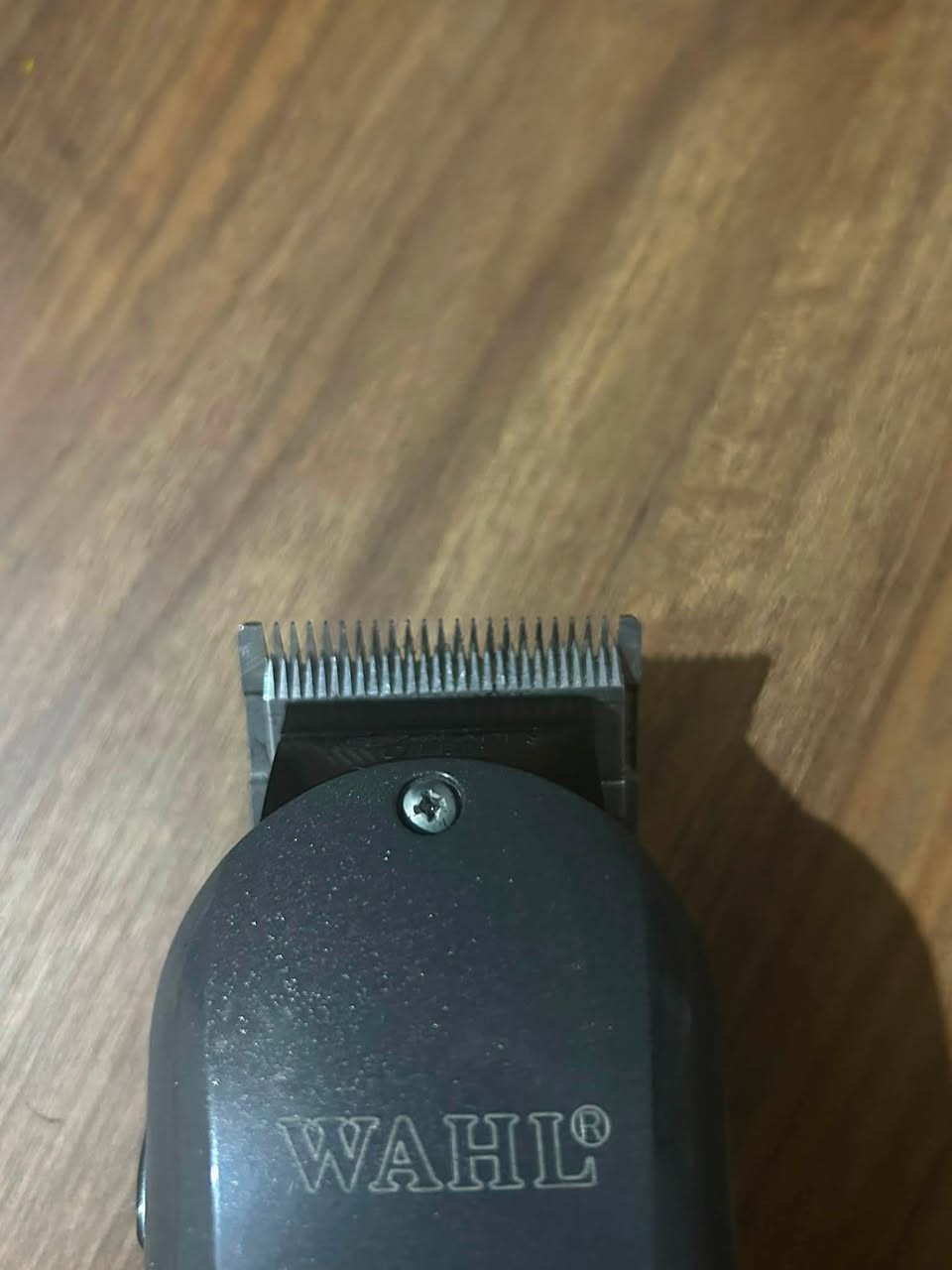 Prix 9000
0781593732
Machya 1 mois


**إذا كنت صاحب هذا الإعلان وتريد حذفه لأي سبب، رجاءا أرسل رسالة إلى الدعم الفني**