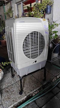 اصلية داخليها هواها كلش بارد مكاني بغداد شارع السعدون 07706141492