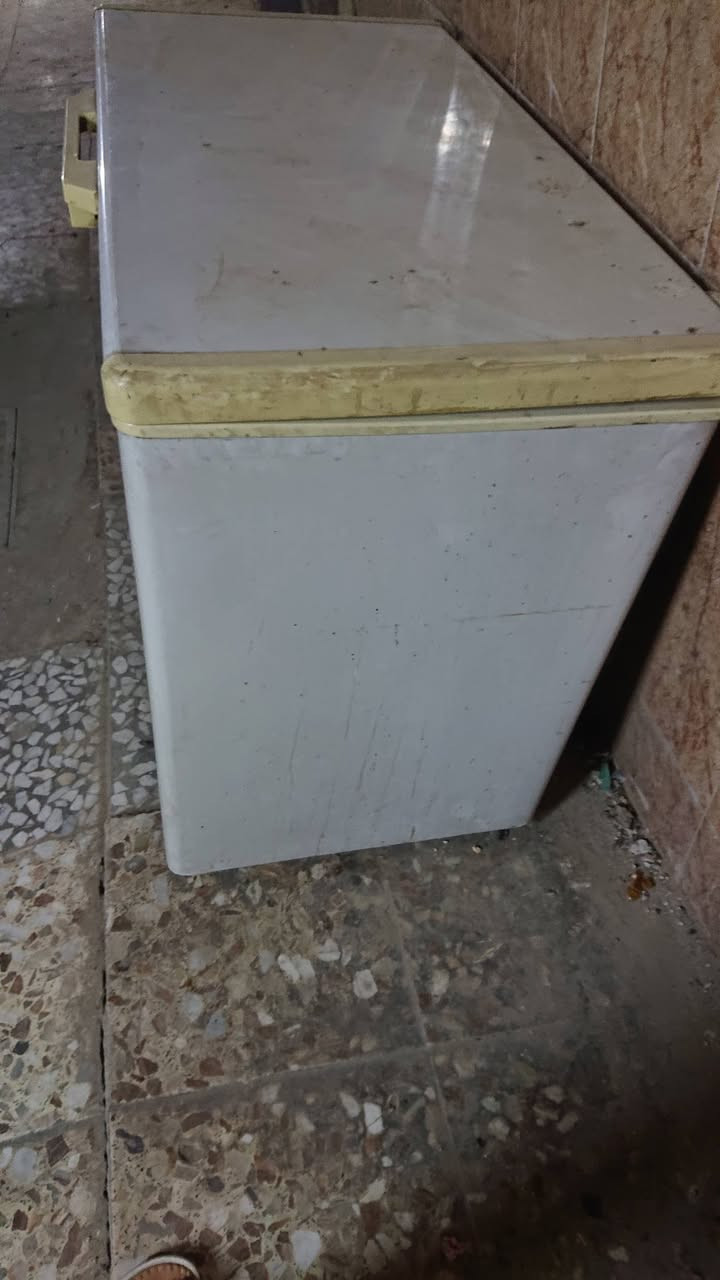 مجمده كيلون الحجم الوسط تجميدها فول ماملعوب بيها السعر 100 الف


**إذا كنت صاحب هذا الإعلان وتريد حذفه لأي سبب، رجاءا أرسل رسالة إلى الدعم الفني**