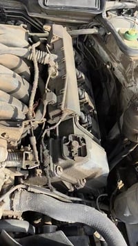 رجعت للحياة يابة .. صارت جميلة  07711003320