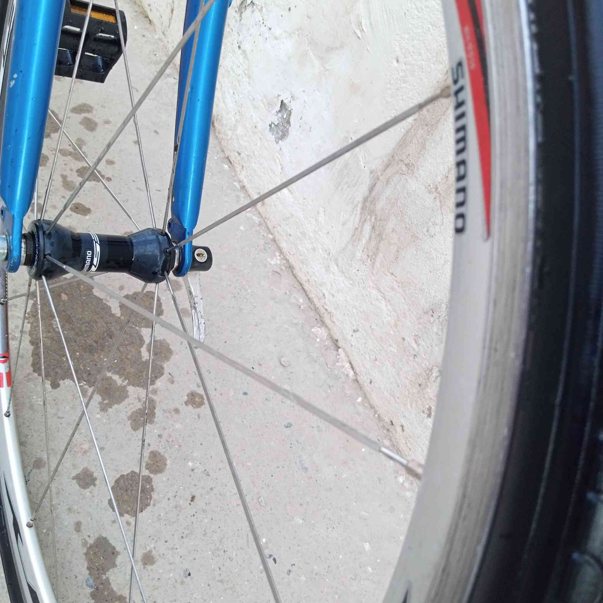 السلام عليكم ورحمه الله وبركاته
باسكل جينت سكيب لونين مميز ⭐

سستم سرام .

بريكات تايكتروا .

تايرات كيندا.

ويل مختم شيمانوا .

البسكل المنيوم الماشة فقط حديد .

مكاني موصل اكو توصيل جميع المحافظات 
سعر ١٥٠ . تواصل خاص


**إذا كنت صاحب هذا الإعلان وتريد حذفه لأي سبب، رجاءا أرسل رسالة إلى الدعم الفني**