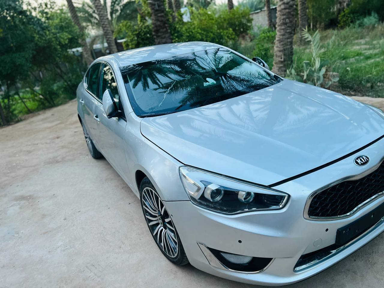 كادنزا 14للبيع او مراوس حسب القناعه العنوان كربلاء  التفاصيل ***********
