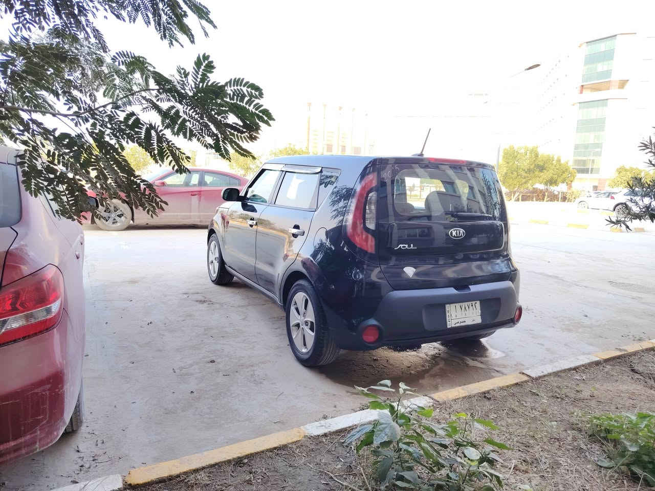 السلام عليكم
سول 2015 وارد محرك 1600GDI، داخل لونين، تحكم جهتين، سيارة استخدام شخصي 8 سنوات عندي على ايد وحدة،دواخل نظافة ٩٠٪، مكينة وكير وتبريد وكهربائيات كفالة، حدادية حلوة، تخم تاير مصارله شهرين، ويل كب ١٦ بلاد، ماشية 155 مايل قابل للزيادة، ايرباك سليم صورة الحادث بالمنشور صبغ جاملغ وبنيد + نص جاملغ عكس السائق + شبر بالجنطة اثر طخة بسيطة بالعراق 
السعر المعروض 117 مجال بسيط 
للتواصل ***********
