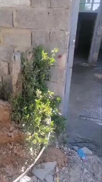 عندي بيت تجاوز الايجار 200 المكان تقاطع درويش شارع كنانه تجاوز 0786399...