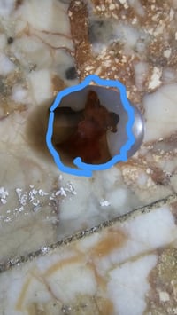 مجموعة • مستعمل • شلع