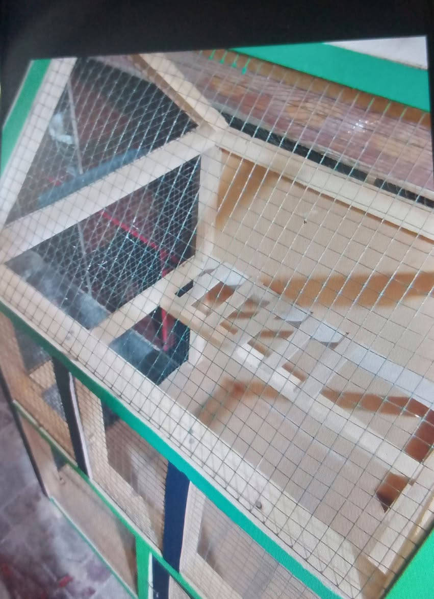 قفص للبيع


**إذا كنت صاحب هذا الإعلان وتريد حذفه لأي سبب، رجاءا أرسل رسالة إلى الدعم الفني**