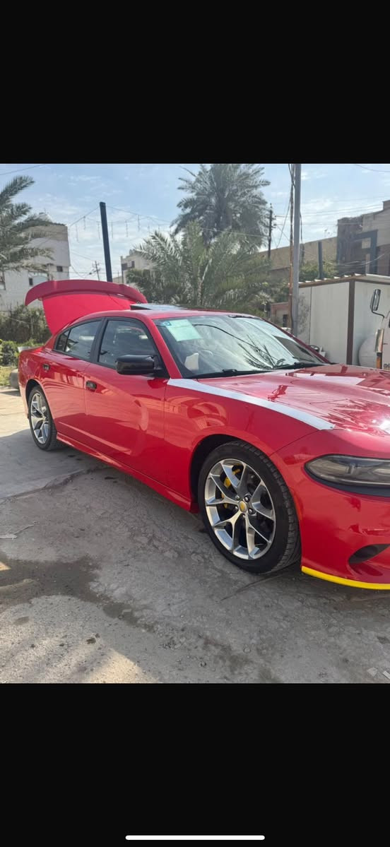 سلام عليكم جارجر جيتي خليجي وكالة هارم فول مواصفات حساسات ذاتية تشغيل عن بعد كشنات كهرباء تدفئة تبريد كاملة رقم بغداد بسمي فتحة سوبر تراك باك ويل عشرين بصمتين لون مميز احمر طماطي موديل 2021 مكفولة كفالة عامة عد رصعة ومسحوبة PDRوالباقي كفالة ماشية 65الف حقيقي سيارة احلى منصور بعد رقمي *********** اتصل وتدلل مكلف بنشر
