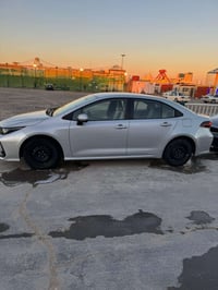 كورلاه • ٢٠٢٣ • السماوه