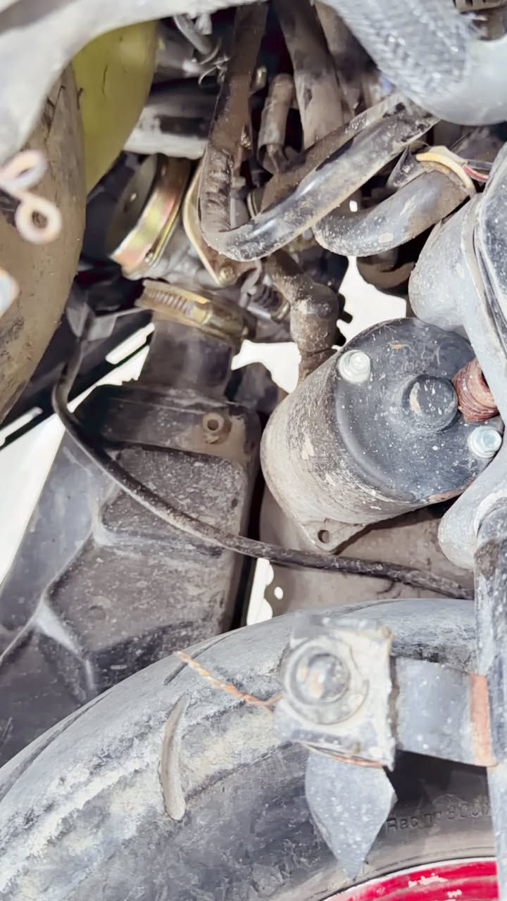 ماكس عداله مال لعب سعر ٣٥٠ رقم ***********العنوانبعداد
