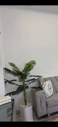 ديكور • حديقة