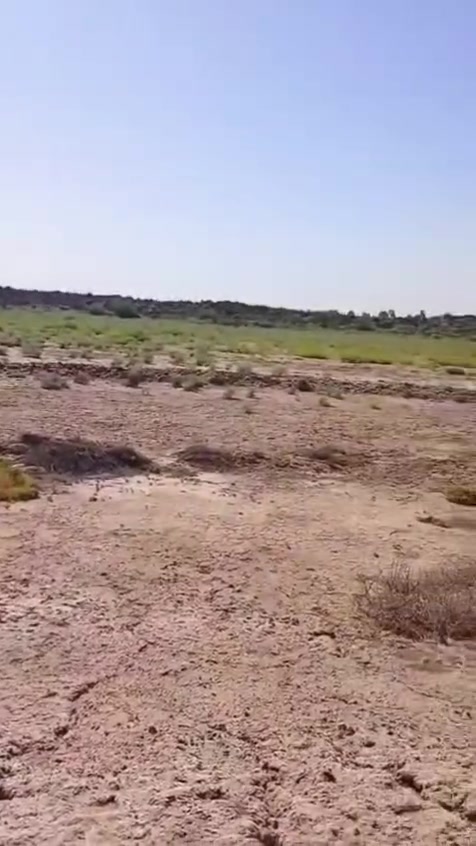 سلام عليكم اخوان ارض زراعيه مساحة الارض ثمانيه دونم للبيع ملك الارض هاي اللي في الصوره شارع تبليط ماء متوفر صيف وشتاء العوان الرفاعي صوب بني ركاب قرب المدرسه المنصوره المختلطه والستفسار اكثر على هذا الرقم (***********) يوجد وتساب
