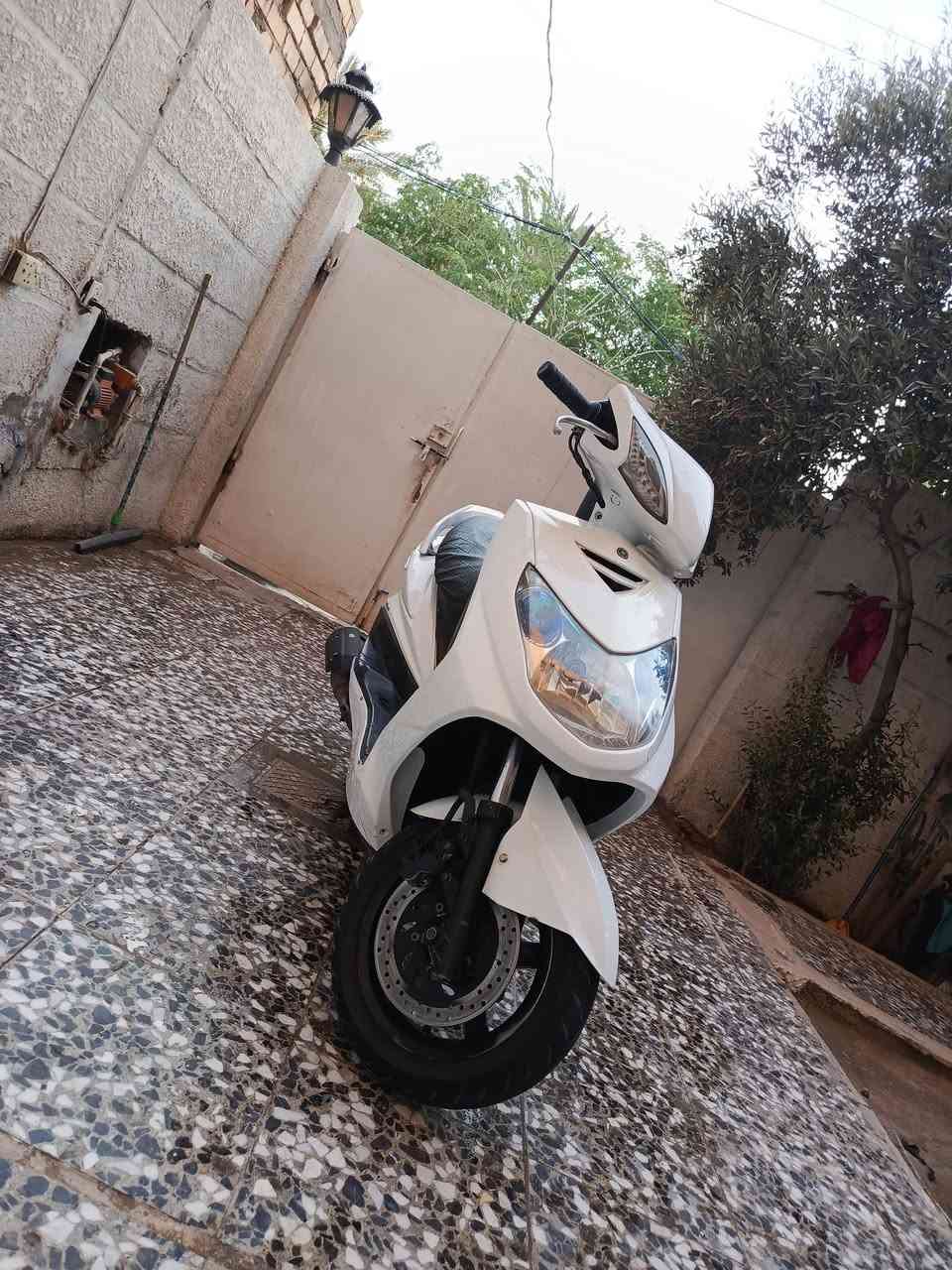 دراجة سكنس فحل ياباني نوزل خطين دراجة كفالة عامة اي نقص ما بيها كفراتها نضيفة كهربائيات كلها كاملة محركها بلادي لا نضوح ولا تبخير سعرها 600 مكاني الشعلة ***********
