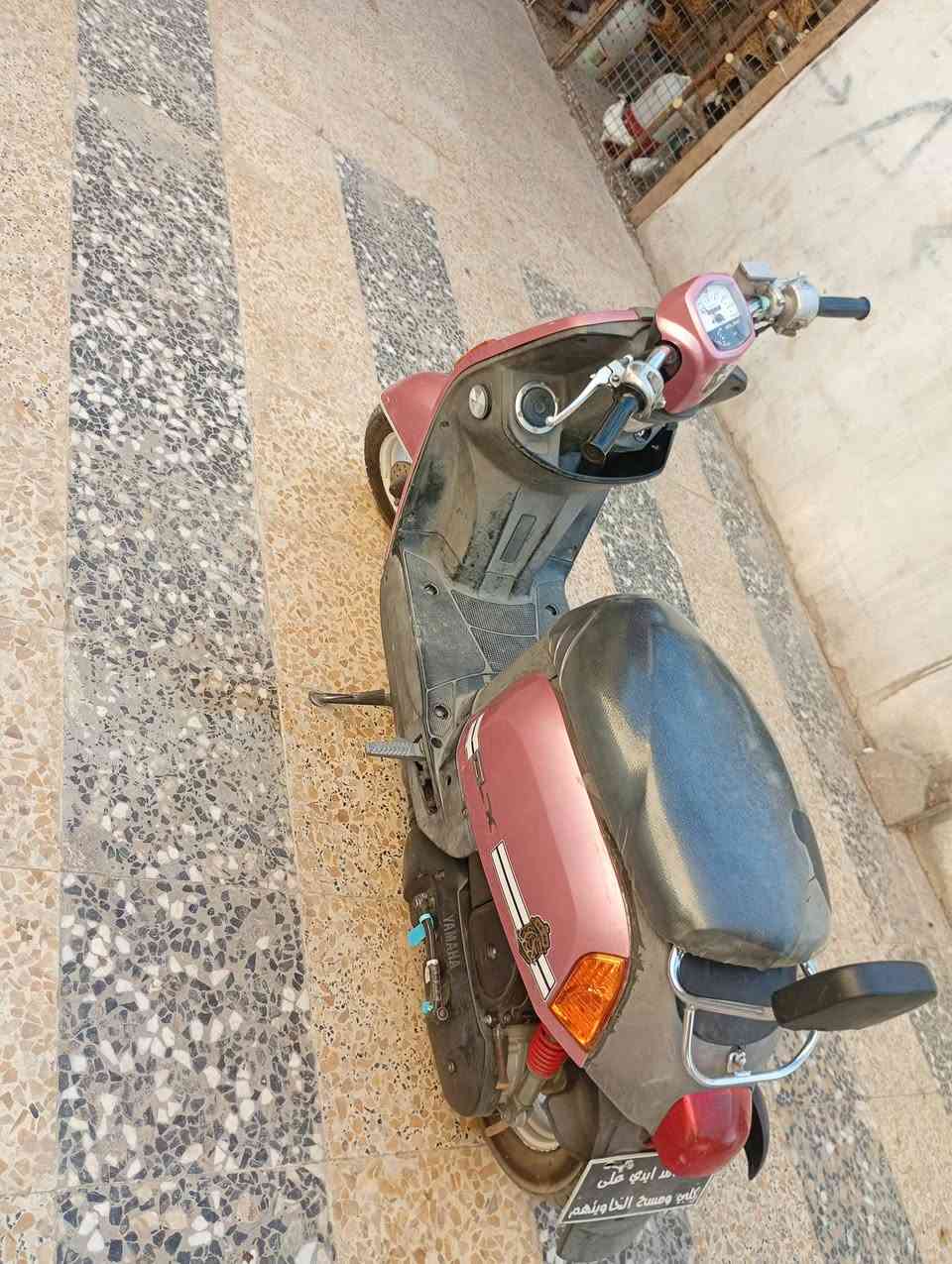دراجه مكفوله كفاله عامه نضافه فول شراي يدلل مكان جامعت فريحه كربلاء سعر 800 وبيهه مجال ***********

