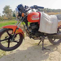 دايون • ٢٠٢٣ • بابل المحاويل