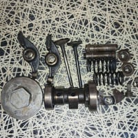 كور فراشة • أصليات • بابل