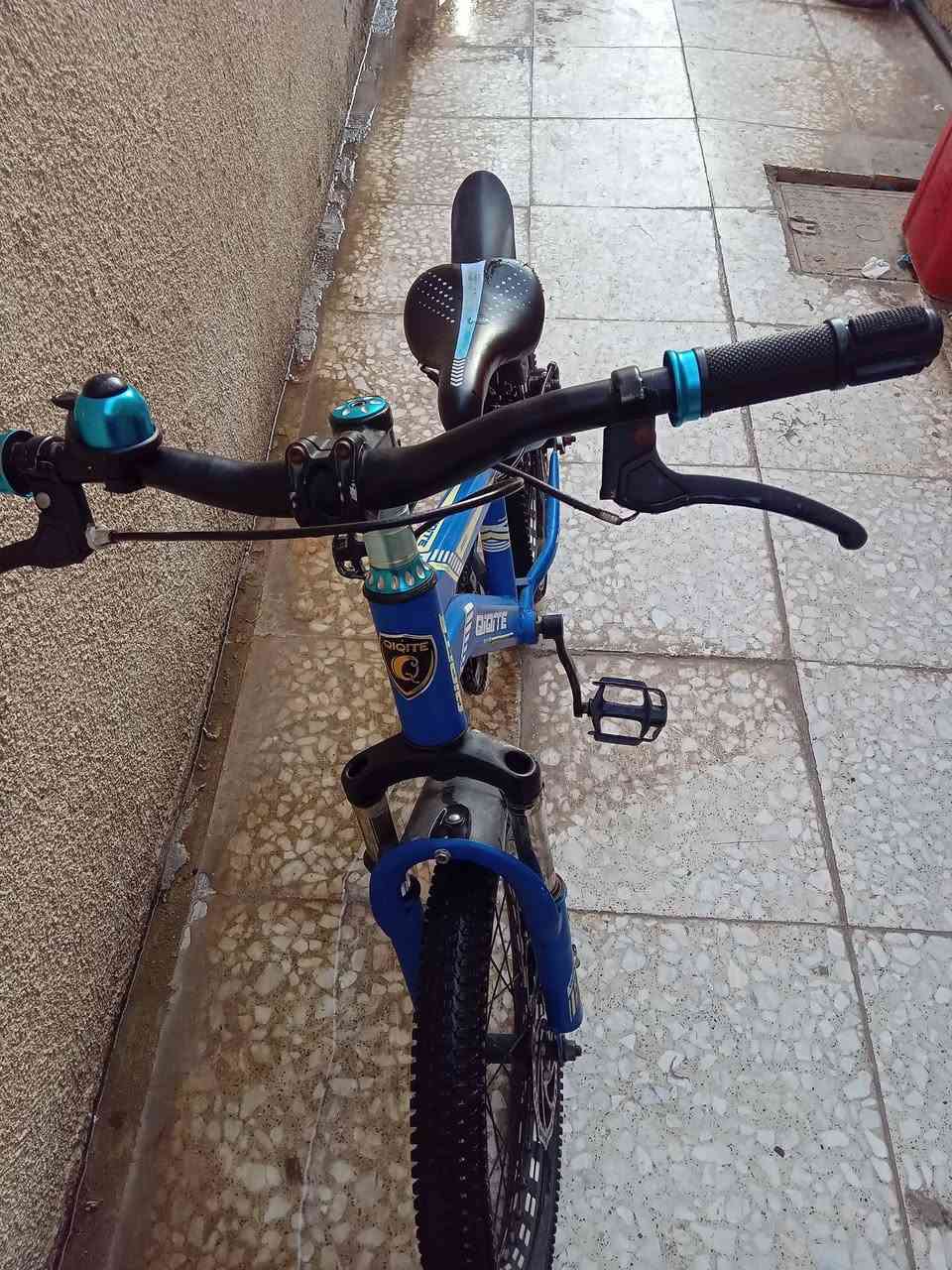 سعر ٣٥ مكان بغداد حي الفرات


**إذا كنت صاحب هذا الإعلان وتريد حذفه لأي سبب، رجاءا أرسل رسالة إلى الدعم الفني**