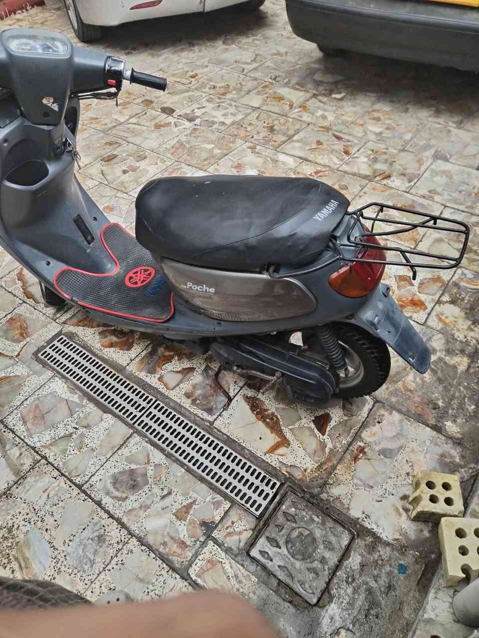 سلام عليكم دراجه منغولي للبيع سعر 230 وبيهه مجال يرادلهه ترتيب شويه كربلاء حي المهندسين قرب جامع حسن العسكري ***********
