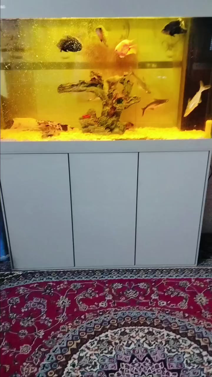 سعر بالفديو واني خادم 
متاح عرض خاص اربعاء ينتهي يوم الأحد 5 أيام فقط مكاني بغداد الحسينيه ***********
