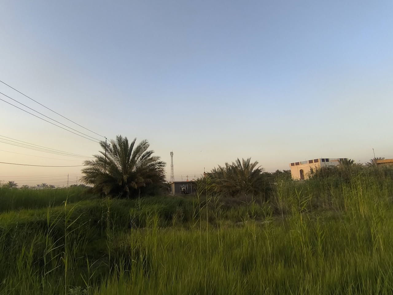 السلام عليكم قطعه ارض للبيع على طريق المطار مقابيل محطه قريبه عالشارع من تجي من التقاطع على ايدك اليسر السنه 25 قطعه مساحتها 200 واللي يريد اكثر موجوده والاستفسار على هذا الرقم والسعر مناسب ***********
