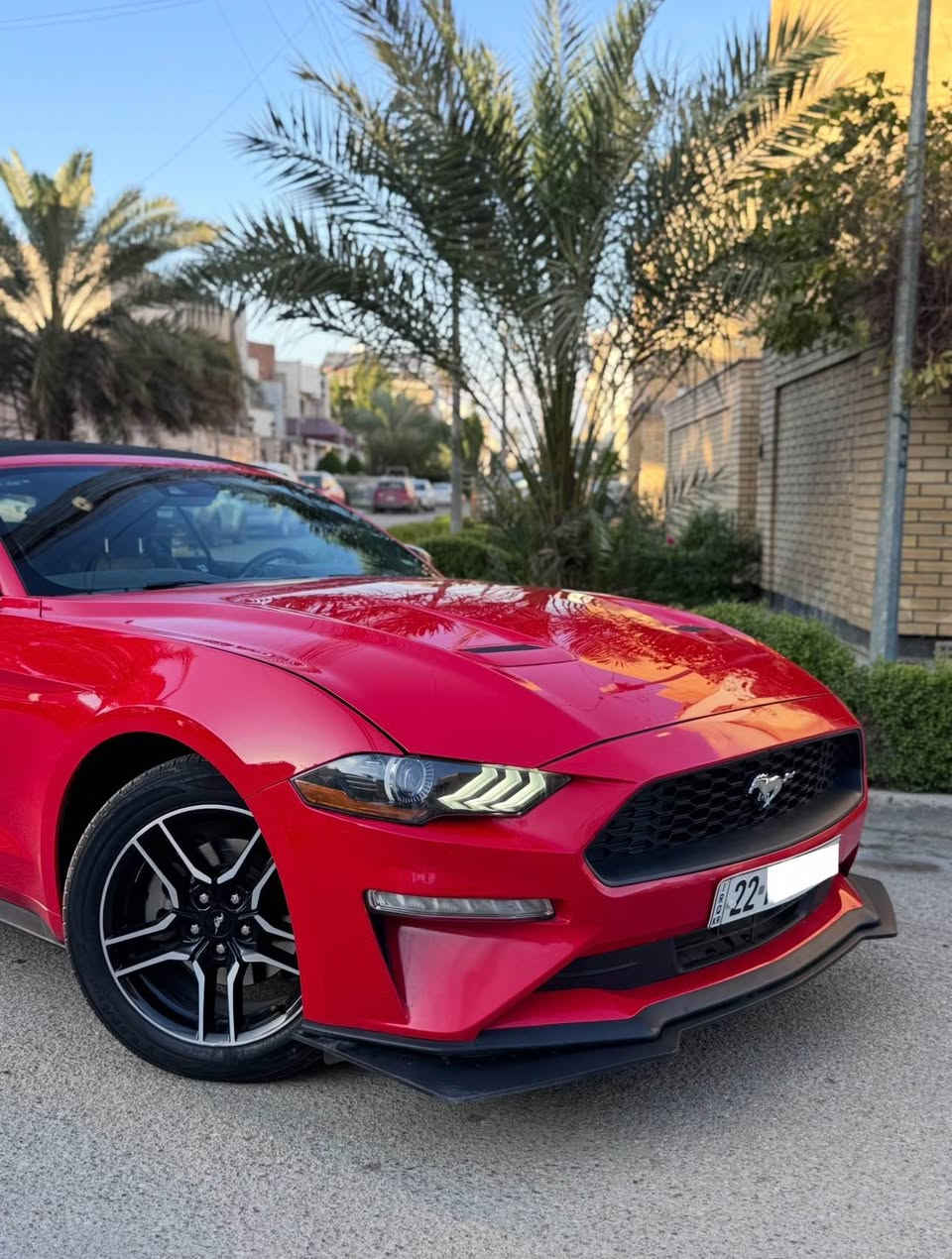 السلام عليكم
Mustang Premium 2022 1/1
ايكوبوست بجم كبس 
رقم اربيل باسمي
موصفات 
كشف
بصمه 
ترحيب 
تشغيل عن بعد 
كشنات تدفئه
كشنات تبريد 
سترين تدفئه  
وضعيات قياده
رادار امامي 
رادار جانبي نقط عمياء 
حساسات اماميه 
حساسات خلفيه 
شاشه كبيره 
وبعد بيها موصفات فول موصفات اعلى شي السياره 

سياره جديده بمعنى الكلمه محرك كفاله كير كفاله صدرها كهربائياتها تخم تاير جديد تبريد ثلج سياره كفاله بوضع شركه ادامه على المحرك من زيوت وفلاتر وبلكات 

طختها باب السايق والجاملغ وره السايق والباقي كله كفاله ونفسه مصلح يعني سياره بيها صبغ جاملغ خلفي وباب السايق والباقي كله كفاله سياره بجم كبس سياره مناسبه وحلوه مقارنه بالسيارات الي بيهم بجم وخمس قطع شوف السوك يلا تعلق وتخابر 🤍

رايدها ب162 ورجاء مو شراي لتعلق وتعبني كلمه طيبه منك واعبر المنشور حبيبي انت🤍
للاستفسار ***********
مكاني بغداد شارع المغرب بغداد, العراق

