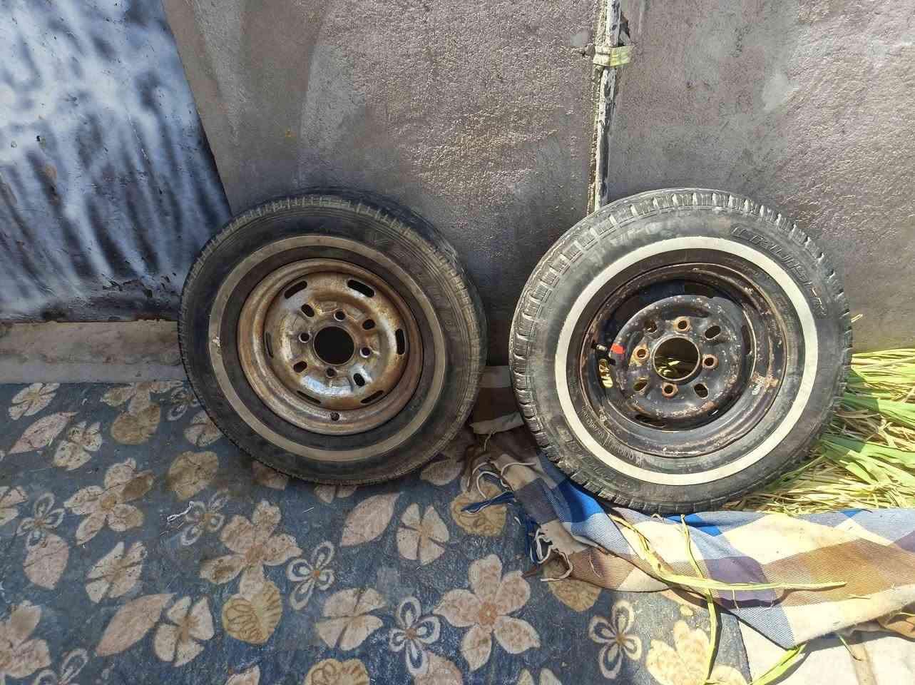 ب. ٥٠.  ناقرية مركز الزيناوية ***********
