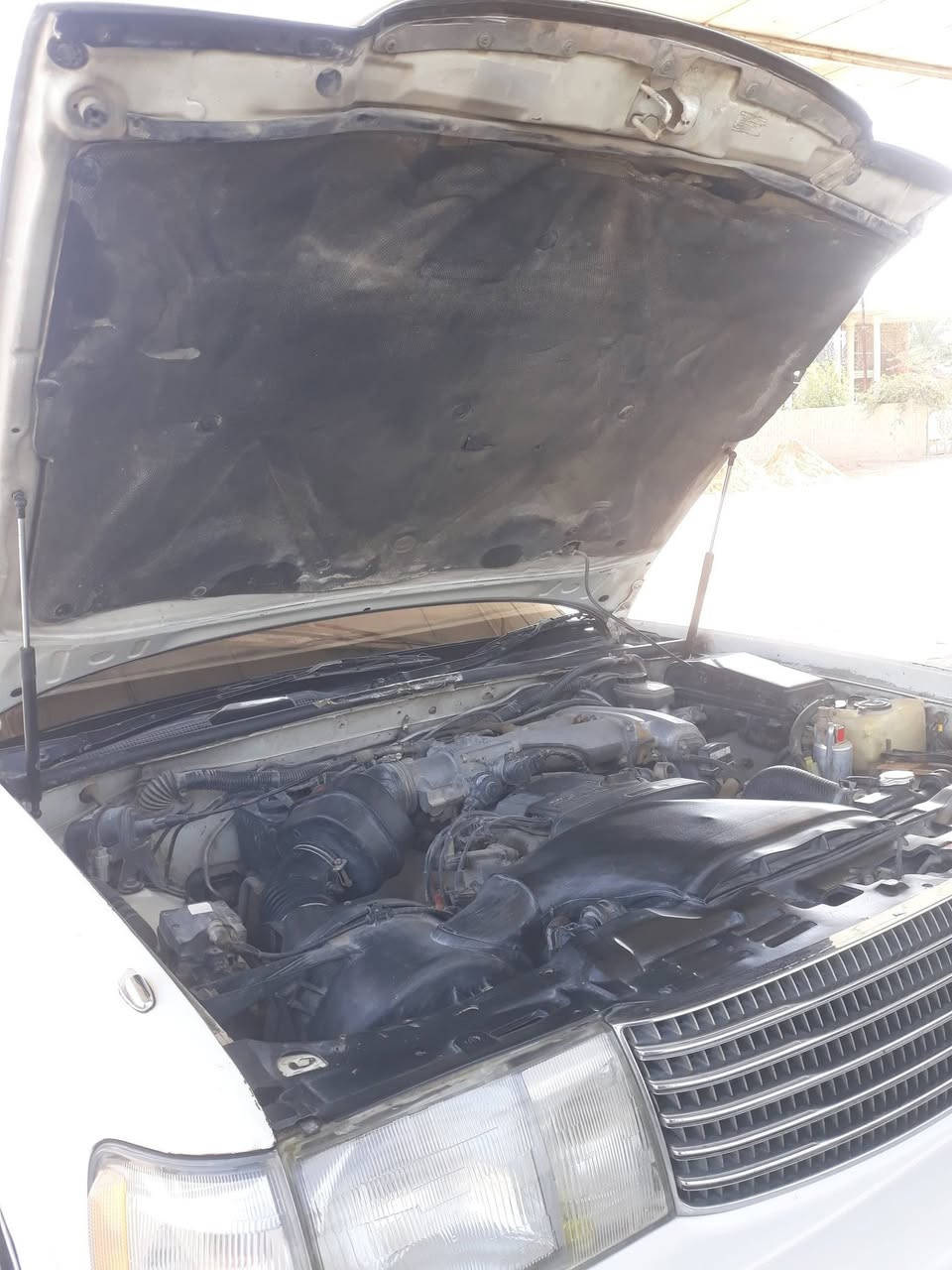 اللهم صل على محمد وآل محمد السلام عليكم ورحمة الله وبركاته للبيع سيارة أرنب موديل ١٩٩٤ رقم بابل إنگليزي السنوية ٢٠٣١ بإسمي سيارة مكفوله من الضربة والگص ونقل الجثة تبريد شغال تخم تاير جديد خط أبيض باتري جديد السعر ٨٠$ العنوان ديوانية مهناوية الإتصال على الرقم *********** والرزق للجميع
