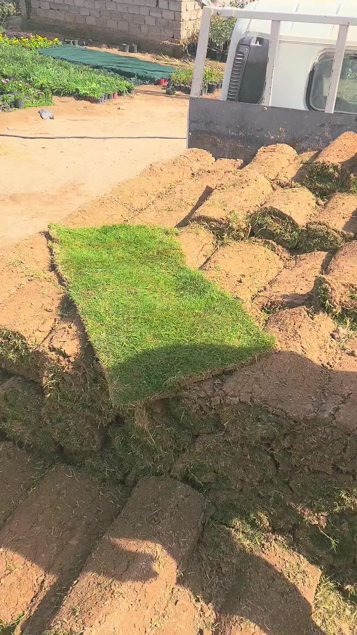 ثيل هندي ناعم درجه اولى
سعر المتر ٢٥٠٠ 

العنوان : الديوانيه -قضاء السنيه -قرب مركز الشرطه او مقابيل المخيم. الكشفي 🚩🚏

خدمه التوصيل موجوده داخل الديوانيه 🚚
للاتصال او الاستفسار او ع واتساب 🔍
ع ***********
