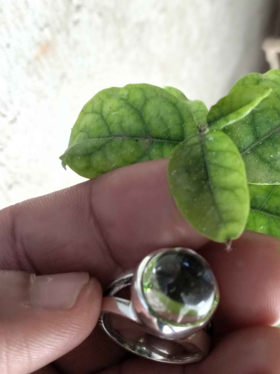 خاتم متوج بحجر در النجف فضه عراقيه صياغه حلوه الوزن 10غرام قياس 19يلببس خنصر مكاني نجف وماعندي توصيل عذرا النجف, العراق


**إذا كنت صاحب هذا الإعلان وتريد حذفه لأي سبب، رجاءا أرسل رسالة إلى الدعم الفني**