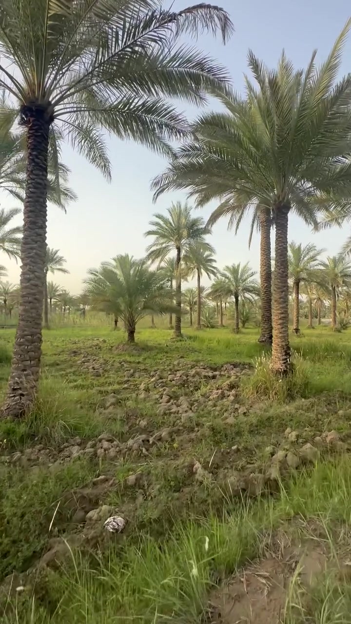 اعزائي المتابعين 
السلام عليكم 
اليوم نعرضلكم نصفً دونم طابوًسند ٢٥
الوجه  مذكور بالتصوير 
كربلاء شارع بغداد سايد للخروج منطقة ابو عصيد 
بسعر مناسب للجاد بالشراء يتصل اوً يراسل عبر الصفحه او الواتساب 
للاستفسار ***********
***********
