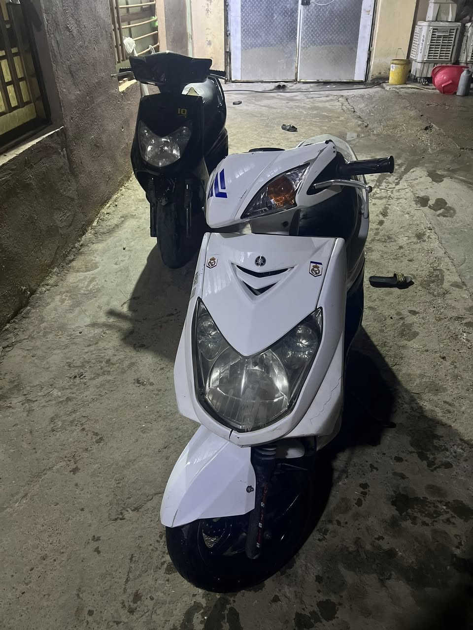 سلام عليكم سكنس فحل للبيع دراجه بلادي نضيفه مثل ما واضح مكينه ما مفتوحه مكان بغداد الحسينيه مال راشديه السعر 👈🏻600 وبيهه مجال ***********
