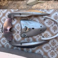 كفرات • ماكس منغولي • طوريج