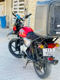 بوكسر • ٢٠٢١ • تحويل ثاني يوم