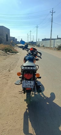 دايوان جبلي • ٢٠٠سي سي • بصره شط العرب