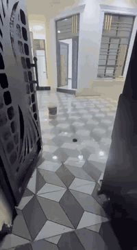 قرب جامعه ديالى • 100م • طابو زراعي