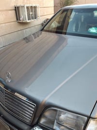 مرسيدس • محروسه • محتاج