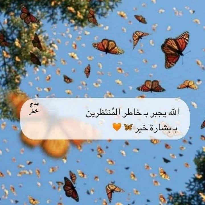 لبييع استفسار ***********
