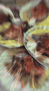 مستعدون لتجهيز كافة المناسبات ♥️
العنوان الصليخ 600 مقابل كاندي كيك

للحجز ***********☎️
