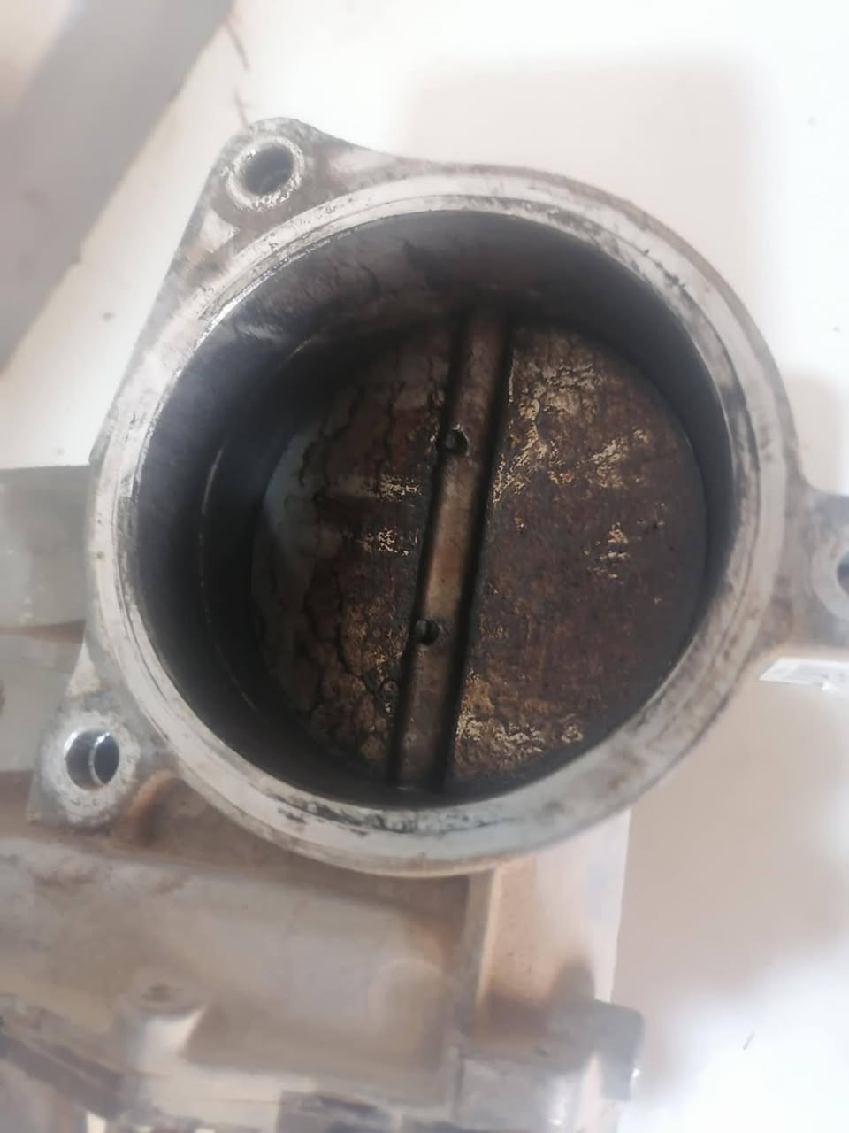 مركز كورال 
تتوفر انسب العروض
1 تنظيف غرفه الاحتراق 
2 تنظيف البخاخات وتبديل والواشرات
3 تنظيف الجويتر 
4 تنظيف صمام vvti 
5 تنظيف حساس الماب
6 تنظيف حساس الكام شفت 
7 تنظيف ولف التبخير 
8 تنظيف حساس الاير فلو 
9 فحص المجاول 
10 فحص البلكات 
(4) سلندر 45 الف 
(6) سلندر 55 الف
(8) سلندر 65 الف
//////////////////////////
ويتوفر ايضآ فيول بم جميع  انواع السيارات 
والفلاتر ويتوفر لدينا قطع غيار اصليه بلكات 
وعدنه عروض بخاخات السيارات الكوريه 
والنيسان هندي والياباني والامريكي وتغير زيت الكير والمحرك 
العنوان ميسان العماره العرضات قرب مجمع الفظل رقم *********** وتساب حيدر ابو شمس
